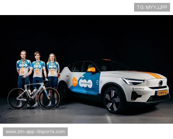 车队合作新趋势：跨国公司的战略布局，集团车队整合方案